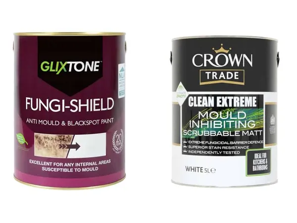Fungicidal paints