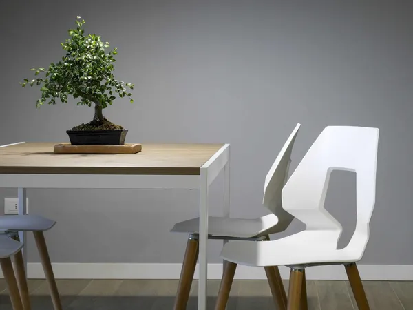 Bonsai tree on a table with a plain grey painted wall behind