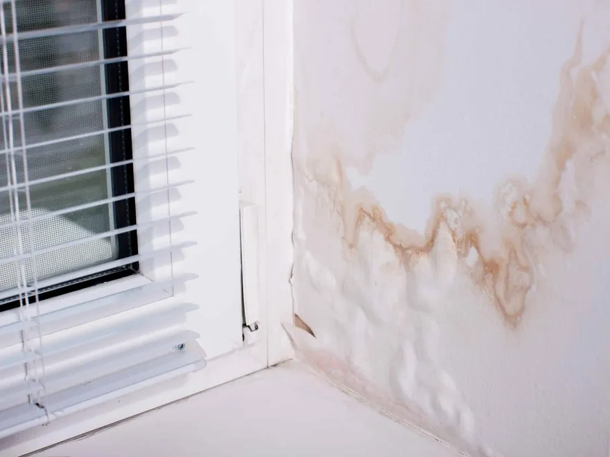 Damp wall at window reveal causing staining and blistering of paint covering